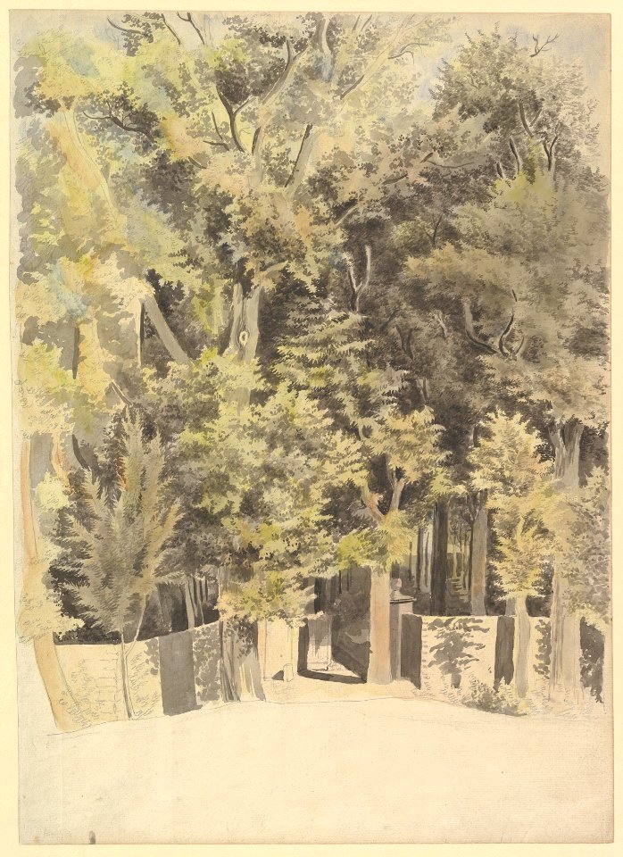 Trees by an Entrance to a Park MET DP829475