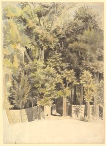 Trees by an Entrance to a Park MET DP829475