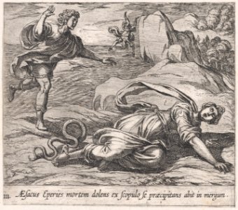 Plate 111- Aesacus and Hespeia (Aesacus Eperies mortem dolens ex scopulo se praecipitans abit in mergum), from Ovid's 'Metamorphoses' MET DP866558