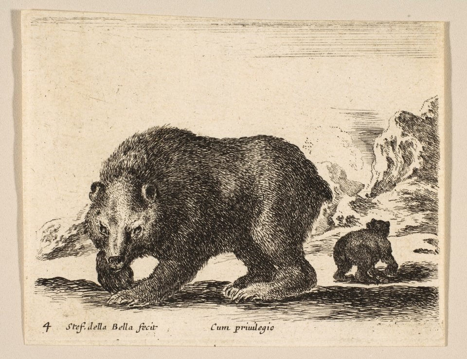 Plate 4- bear, from 'Various animals' (Diversi animali) MET DP817870