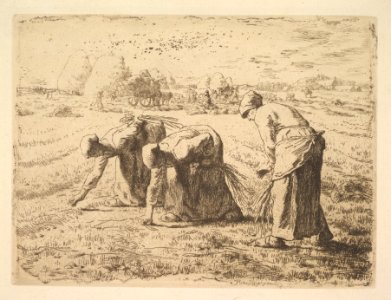 The Gleaners MET DP827615