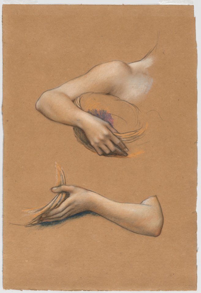Study of Arms for "The Cadence of Autumn" MET DP882760