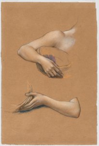Study of Arms for "The Cadence of Autumn" MET DP882760