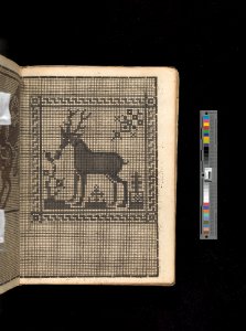 Manuscript album of designs for lace and embroidery MET DP356662