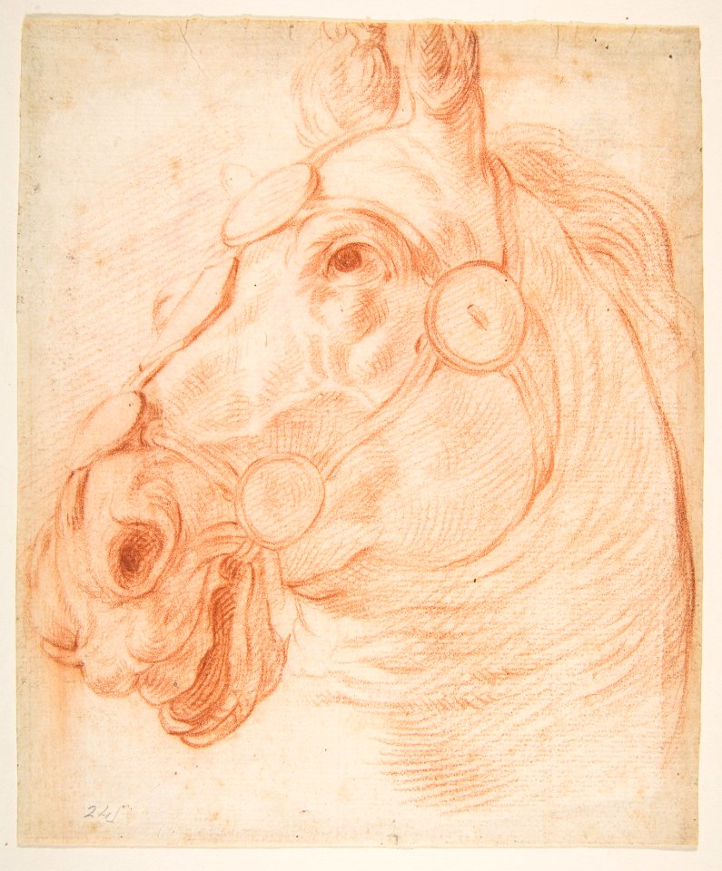 Study for a Horse's Head MET DP817806