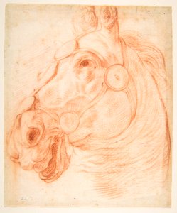 Study for a Horse's Head MET DP817806. Free illustration for personal and commercial use.