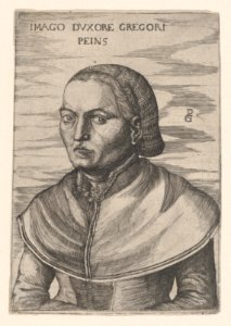 Portrait of the Wife of Georg Pencz (Imago Duxore Gregori Peins) MET DP867545