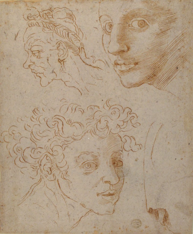 Three Heads after Michelangelo's Frescoes in the Sistine Chapel MET 80.3.95