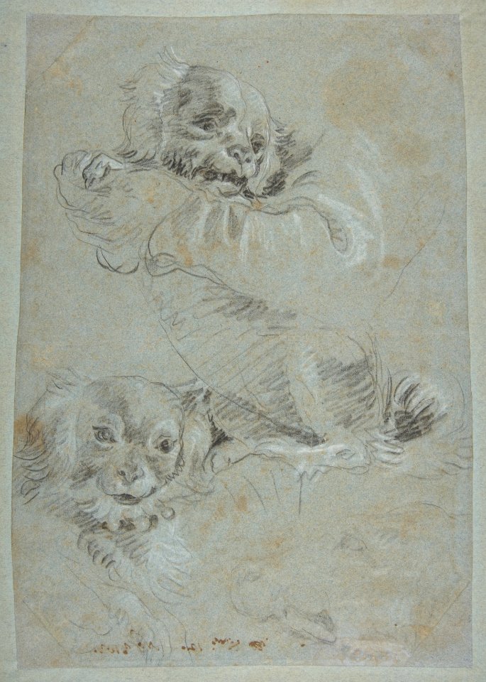 Three Dogs, after Paolo Veronese MET DP812108
