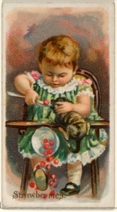 Strawberries, from the Fruits series (N12) for Allen & Ginter Cigarettes Brands MET DP834648
