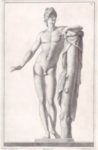 Plate X (10)- Apollo Met DP887781