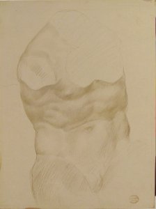 Torso of the Belvedere MET 92.13.12