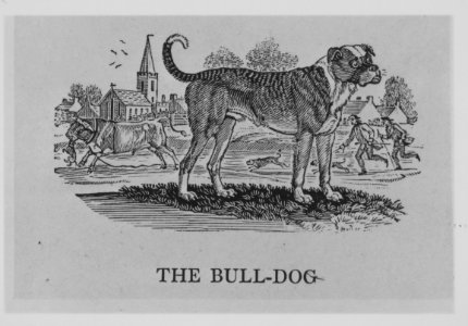 Quadrupeds MET MM9846