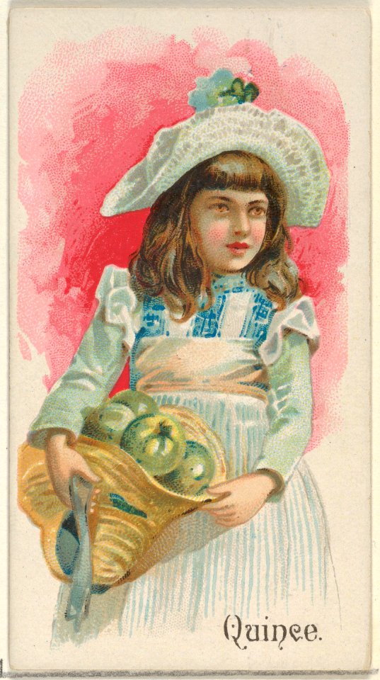 Quince, from the Fruits series (N12) for Allen & Ginter Cigarettes Brands MET DP834644
