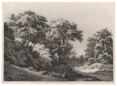 The Edge of the Woods, near Rambouillet MET DP874301