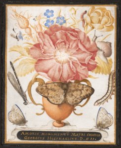 Still Life with Flowers, a Snail and Insects MET DP158476