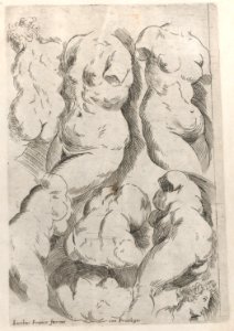 Regole per Imparar a Disegnar i corpi humani Met DP885378