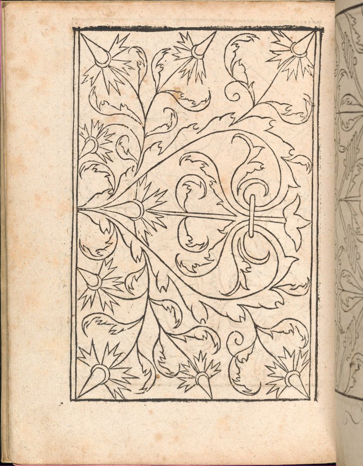 New Modelbüch allen Nägerin u. Sydenstickern (Page 25v) MET DP356591