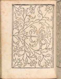New Modelbüch allen Nägerin u. Sydenstickern (Page 25v) MET DP356591