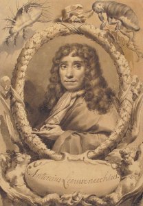 The Dutch Microscopist Anton van Leeuwenhoek MET 1987.177