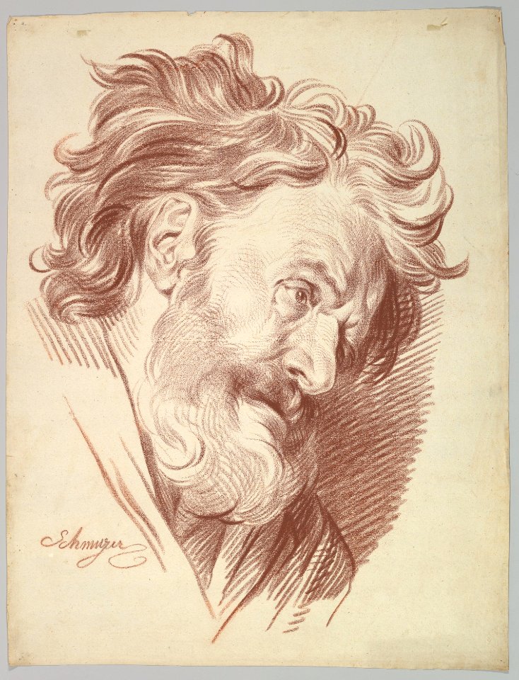 Profile of a Bearded Old Man Looking Right MET DP819795