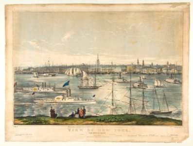 View of New York from Brooklyn Heights MET DP816538