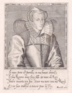 Mary, Queen of Scots Met DP890388