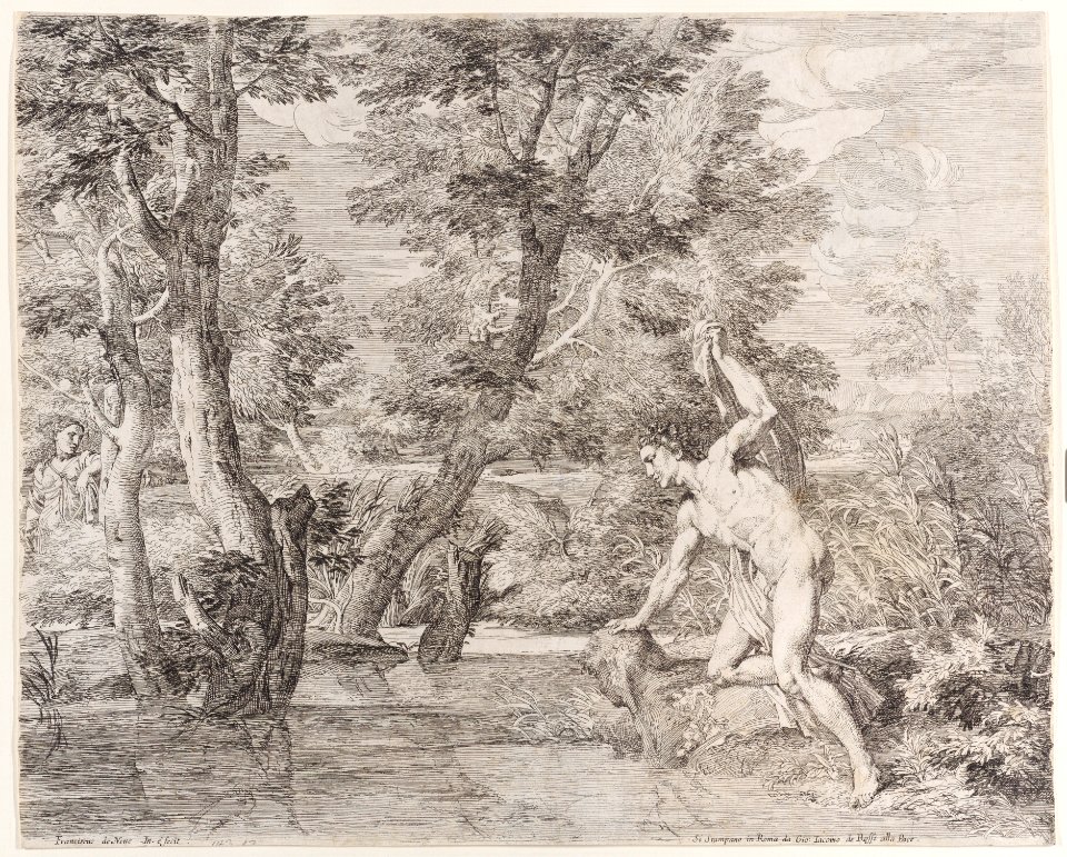 Narcissus and Echo Met DP886213