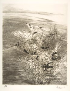 Teal Among the Reeds MET DP814175