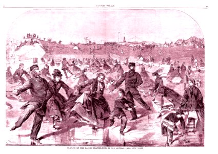 Skating on the Ladies' Skating Pond in Central Park, New York (Harper's Weekly, Vol. IV) MET 49DD 392R3