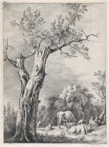 Spring, after a drawing made at Saint-Chamond MET DP874569