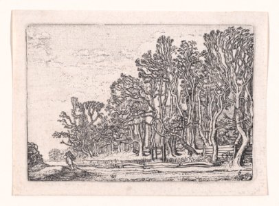 Two Plank Hedges, from Verscheyden Landtschapjes (Various Landscapes), Plate 6 MET DP871792