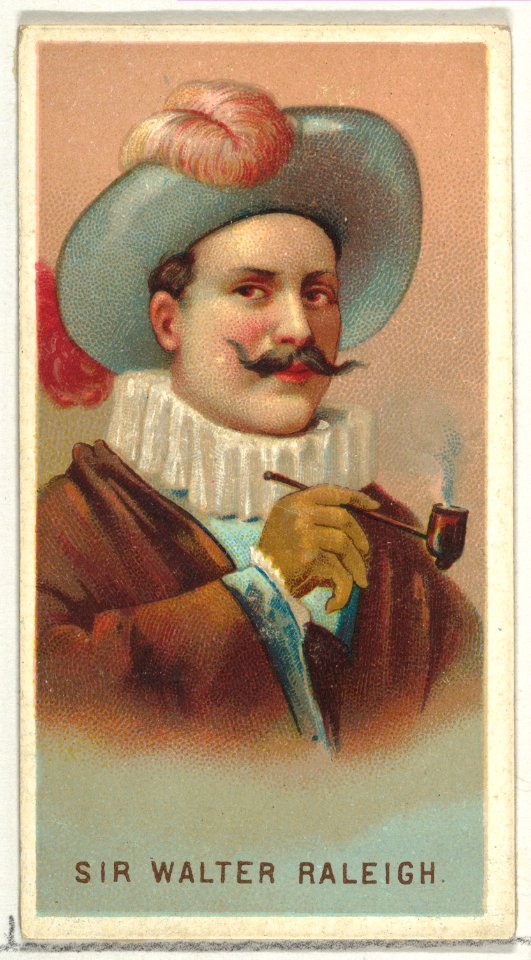 Sir Walter Raleigh, from World's Smokers series (N33) for Allen & Ginter Cigarettes MET DP838640