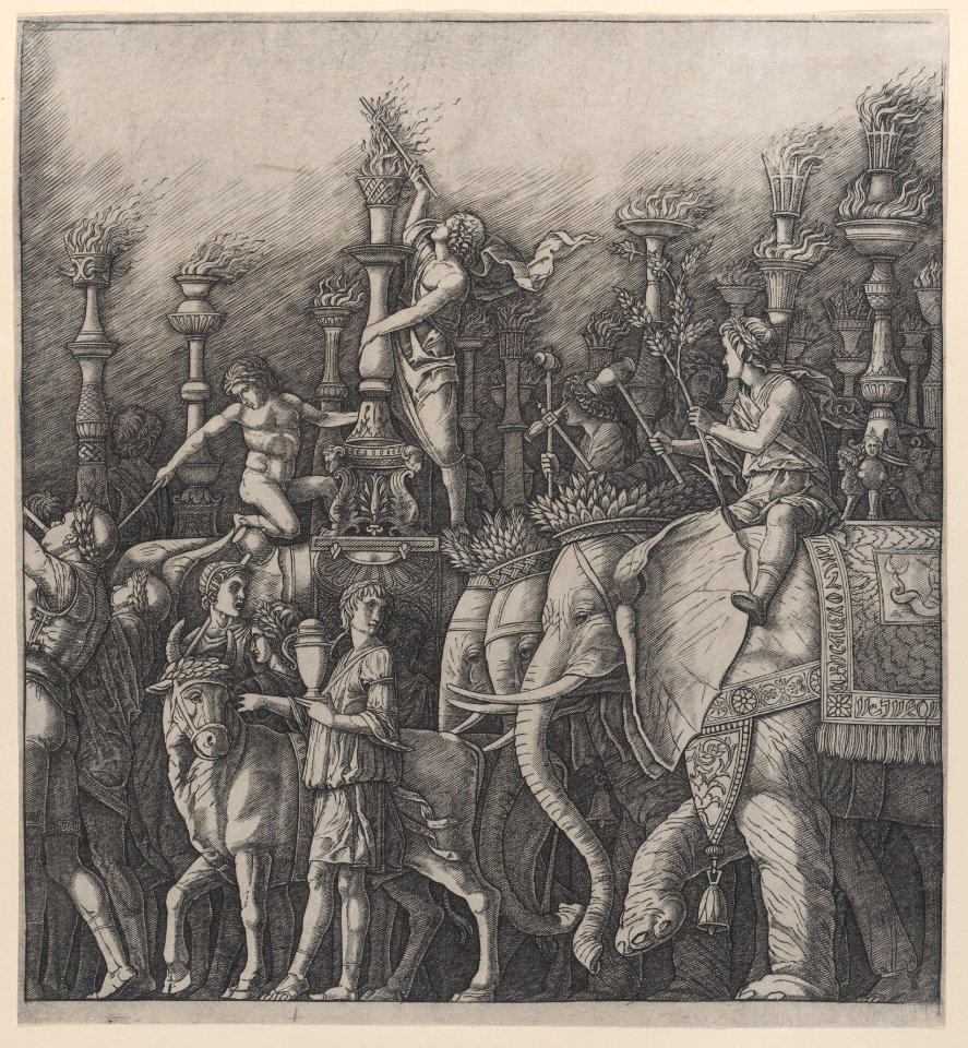 The Triumph of Caesar- the Elephants Met DP885624