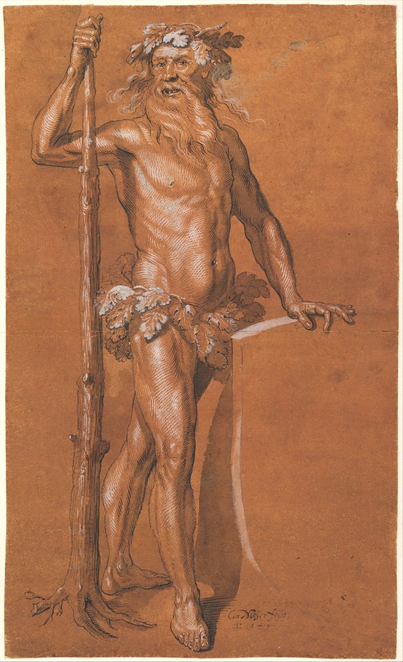 The Wild Man MET DP820241