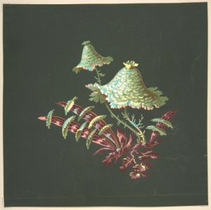 Two Hat-Shaped Chinoiserie Flowers with Fanciful Leaves MET DP809096