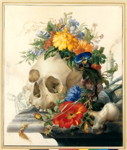 Vanitas Still Life MET 2003.30