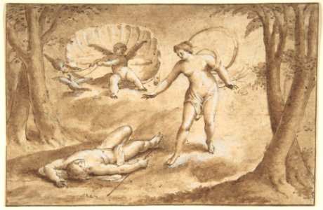 Venus Discovering the Death of Adonis MET DP802245