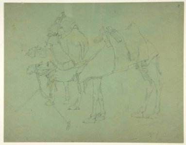 Two Camels MET DP812721