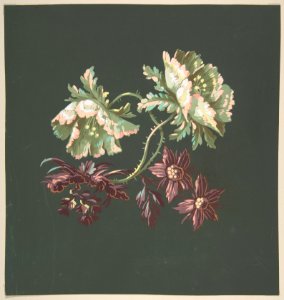 Two Roses and Two Small Flowers MET DP809097