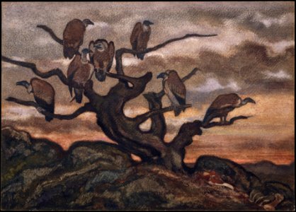 Vultures on a Tree MET DT4879