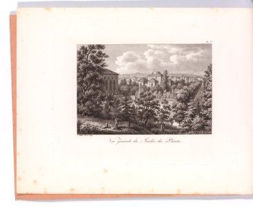 Vues et description du jardin des plantes MET DP-13767-001
