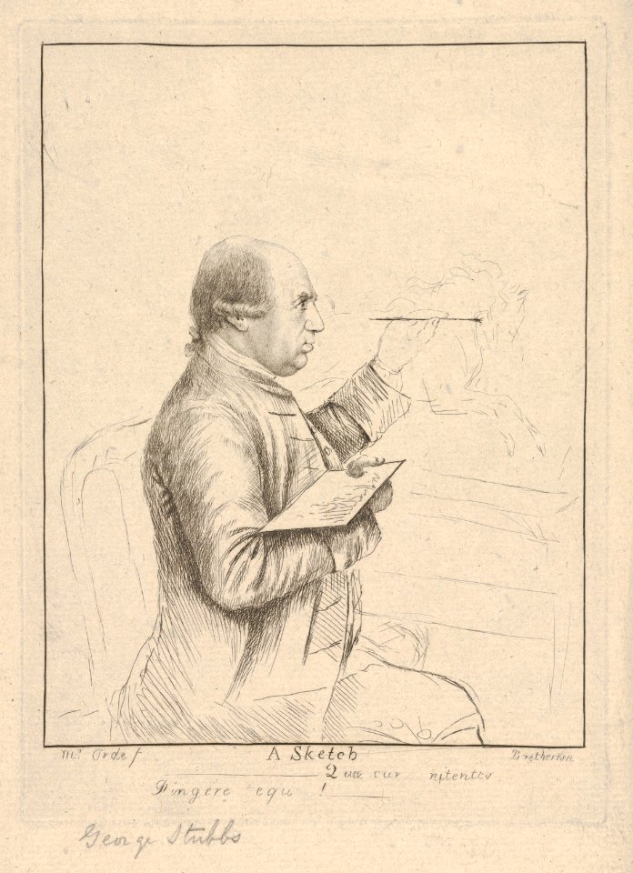 A Sketch (Portrait of George Stubbs) MET DP834181