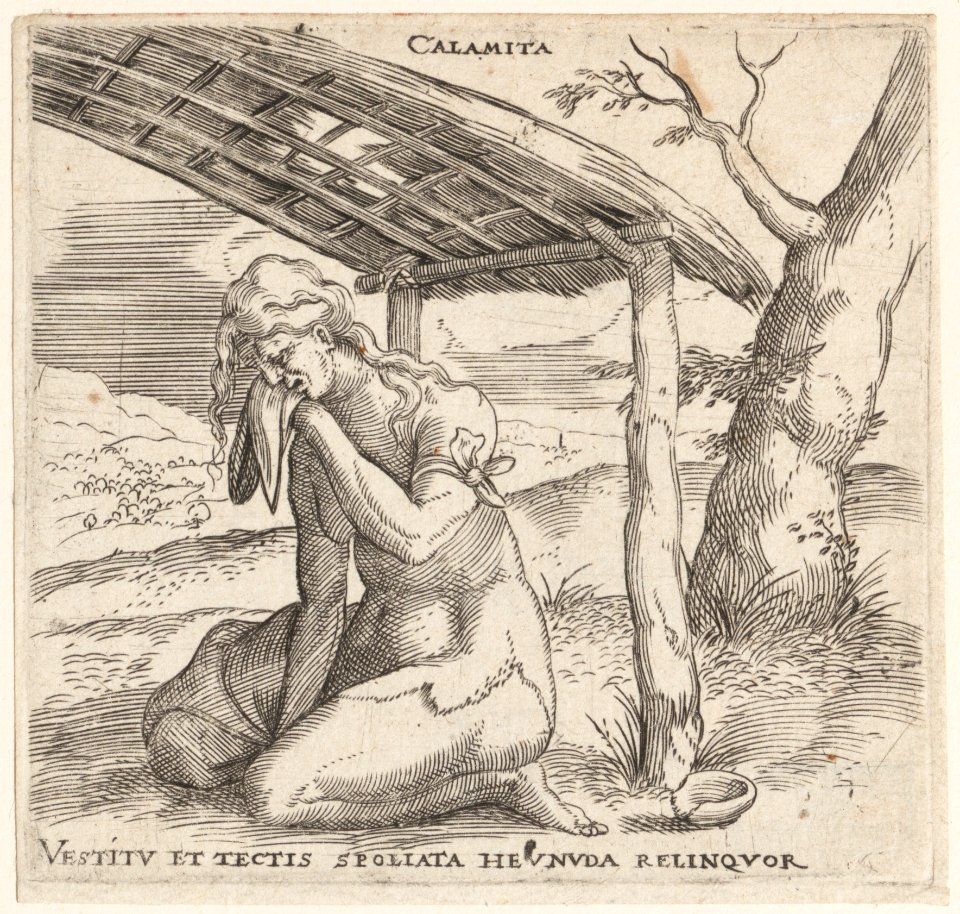 Calamity MET DP162195