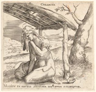 Calamity MET DP162195