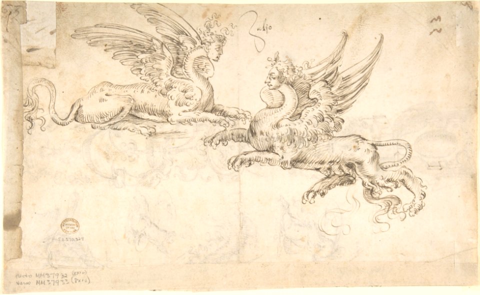 Candelabra Grotesque and Various Figure Studies (recto); Two Griffins and Female Heads (verso) MET DP800634