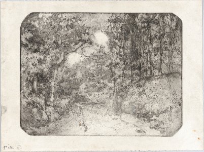 Chemin sous bois à Pontoise MET DP875057