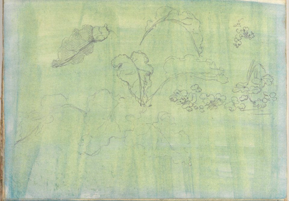 Carved Panel and Border Ornament (recto); Sketches of Leaves (verso) (Smaller Italian Sketchbook, leaf 21) MET DP269429