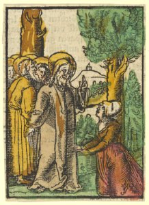 Christ and the Woman Issuing Blood, from Das Plenarium MET DP849913