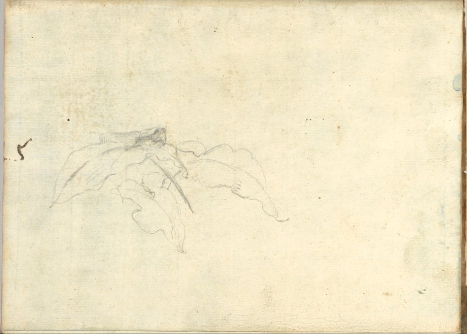 Carved Panel and Border Ornament (recto); Sketches of Leaves (verso) (Smaller Italian Sketchbook, leaf 21) MET DP269430